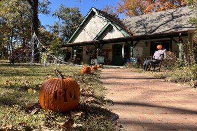 Halloween Critter Crawl