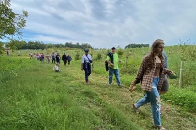 Autumn Food Forest Walk