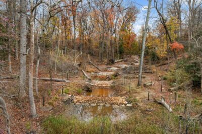 Quiet Waters Park Watershed Walk