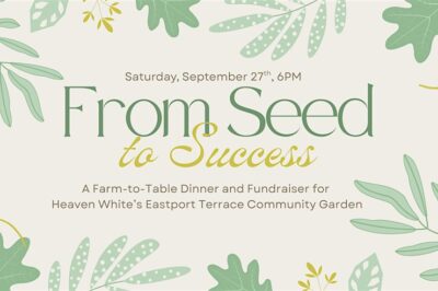 From Seed to Success