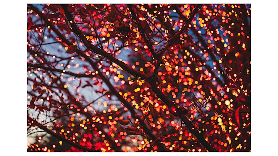 Gathering of Light: An Akashic Records Circle