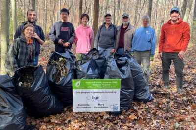 Invasive Plant Removal @ Bacon Ridge Natural Area