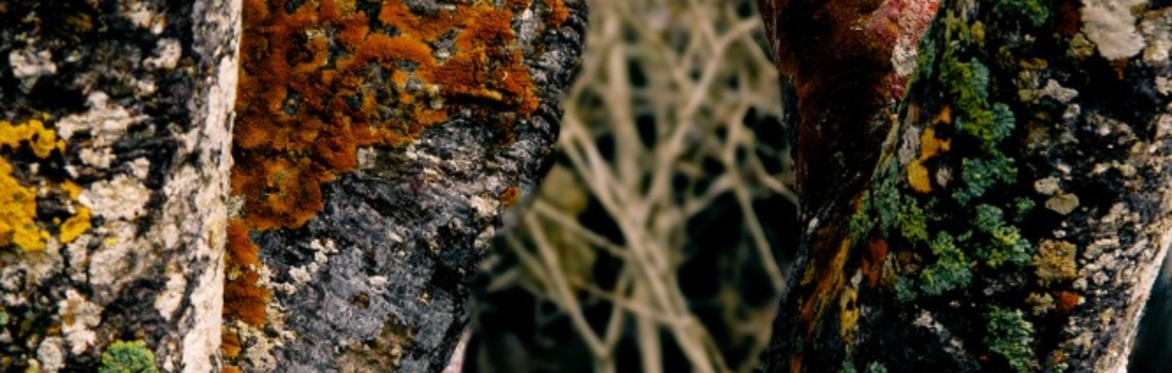 Autumn Hues Photography Workshop