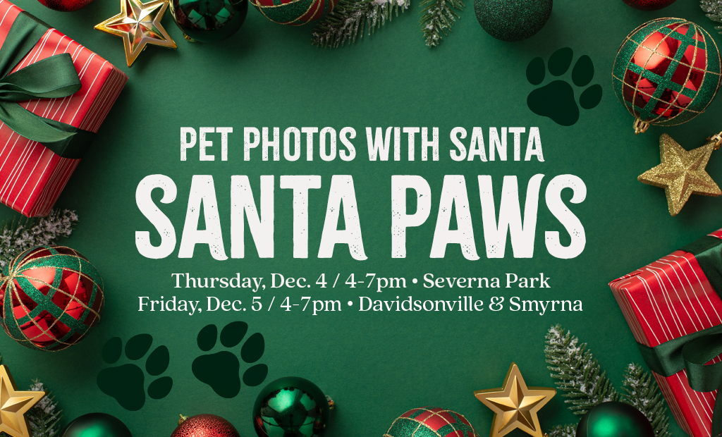 Santa Paws: Pet Photos with Santa