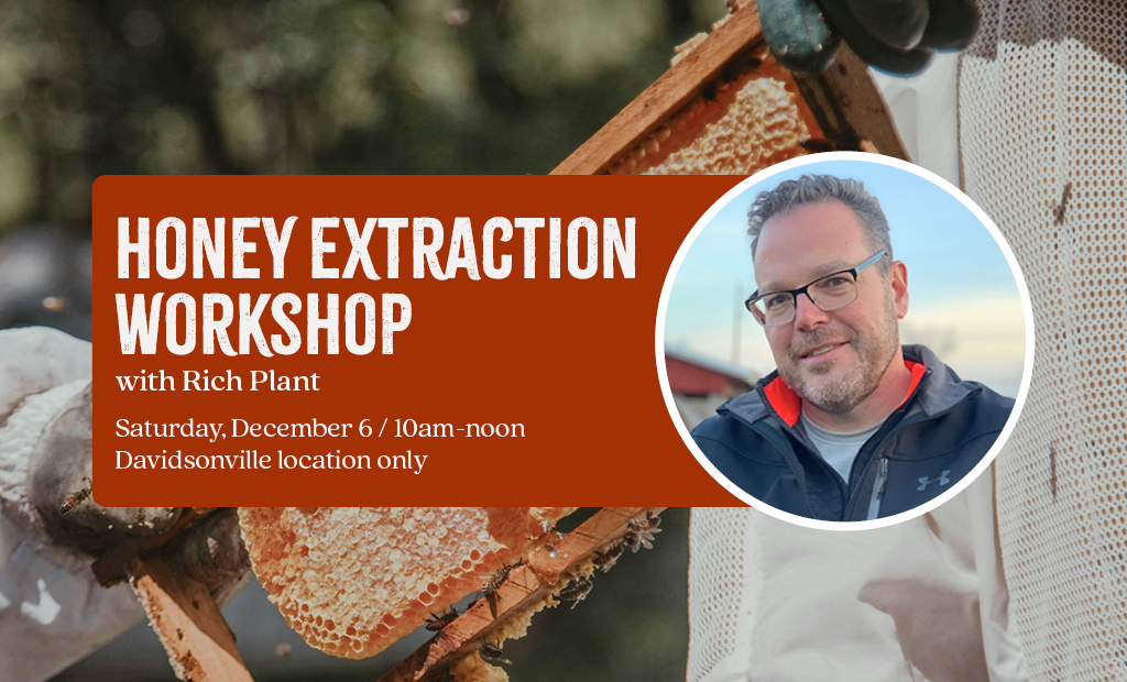 Honey Extraction Workshop