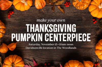 Thanksgiving Pumpkin Centerpiece Workshop