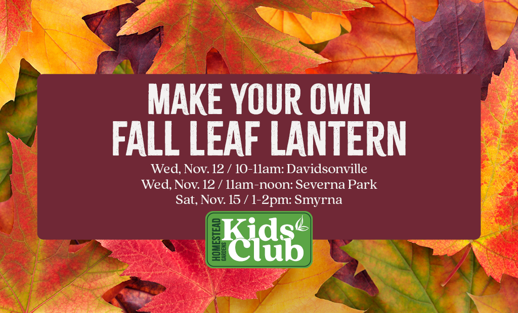 Fall Leaf Lantern Workshop
