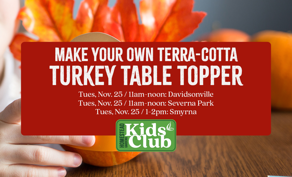 Terra-Cotta Turkey Table Topper