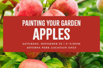 Painting Your Garden: Apples
