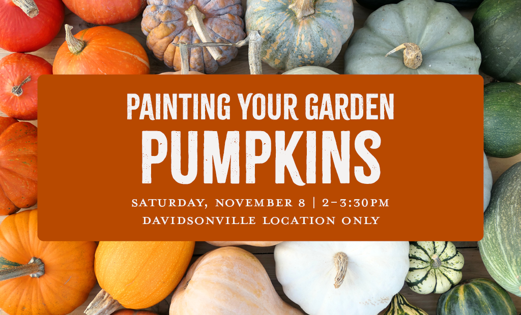Painting Your Garden: Pumpkins
