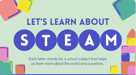 Homeschool STEAM: How Seeds Travel