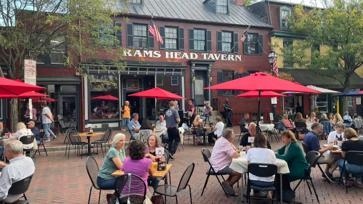 Dinner Under the Stars