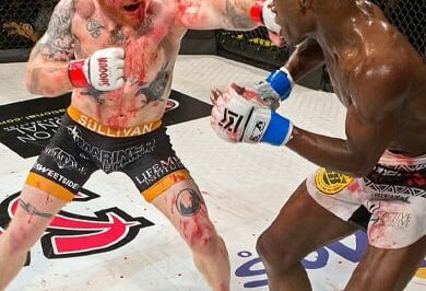 MMA: Shogun Fights