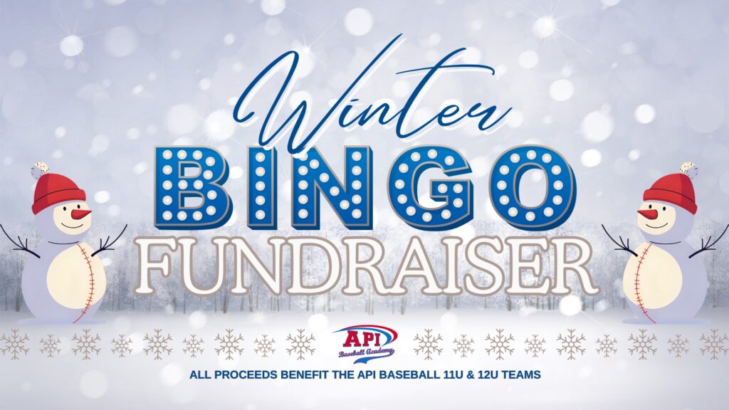 API Winter Bingo Fundraiser banner