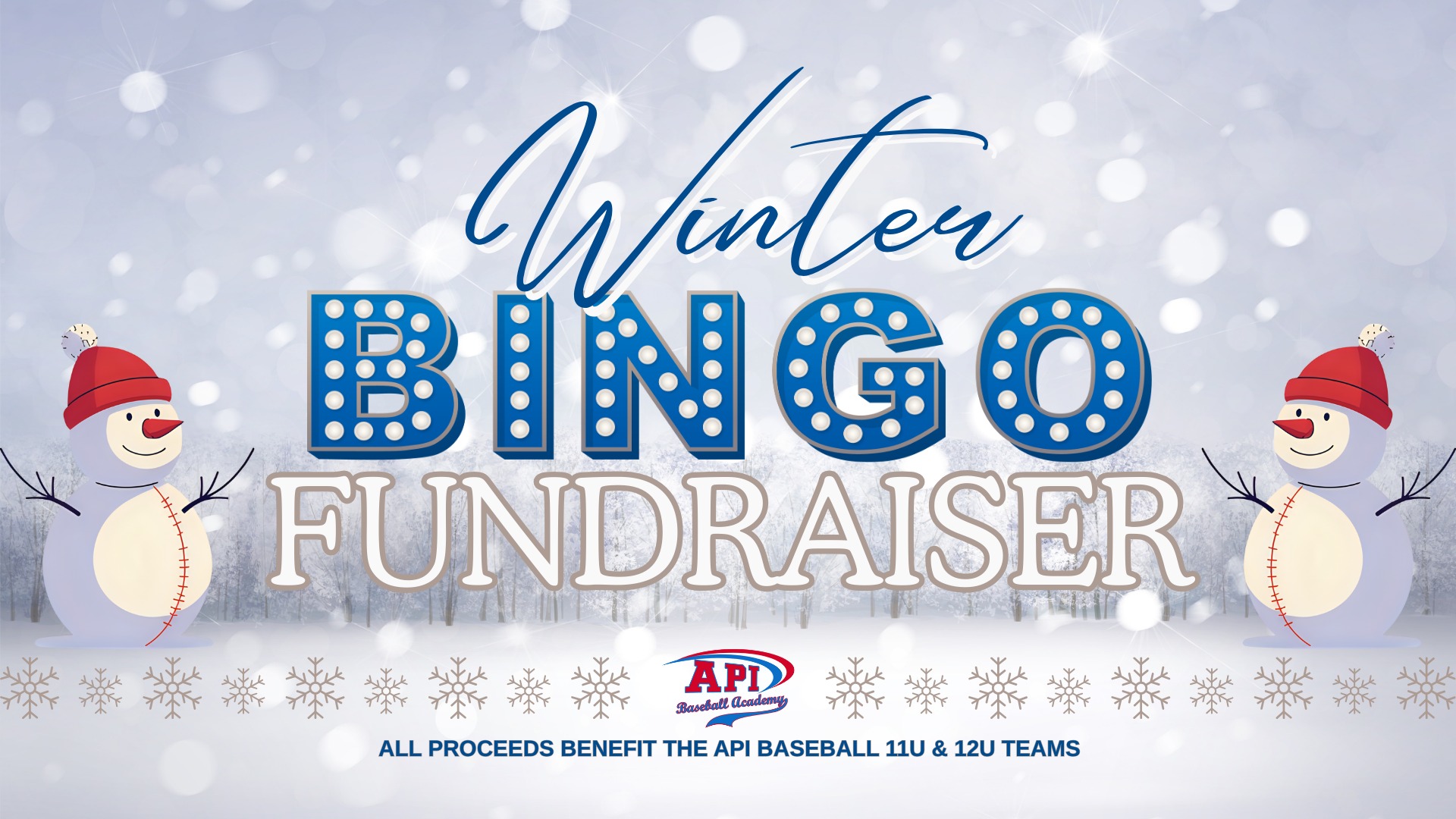 API Winter Bingo Fundraiser banner