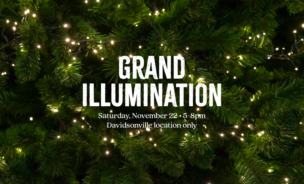 Grand Illumination
