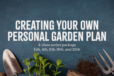 Creating Your Own Personal Garden Plan