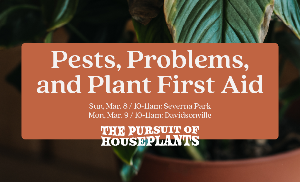 Pests, Problems, & Plant First Aid