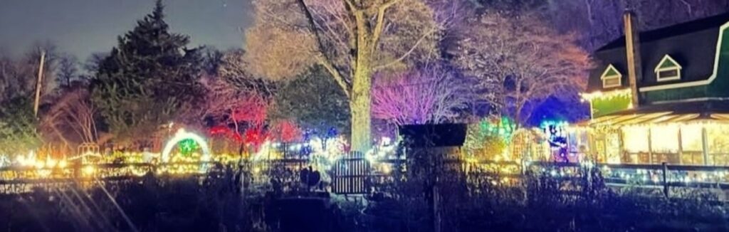 North Pole Lights Walk