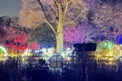 North Pole Lights Walk