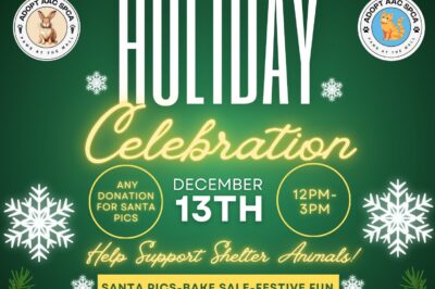 Holiday Celebration @ Paws at the Mall