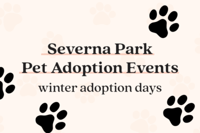 Pet Adoption Days
