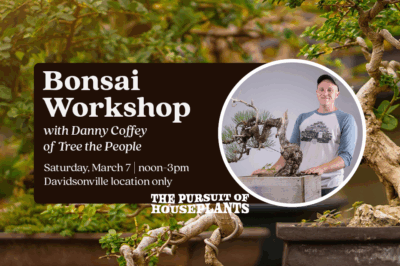 Bonsai Workshop w/ Danny Coffey
