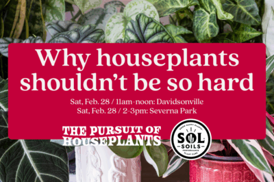 Why Houseplants Shouldn't Be So Hard