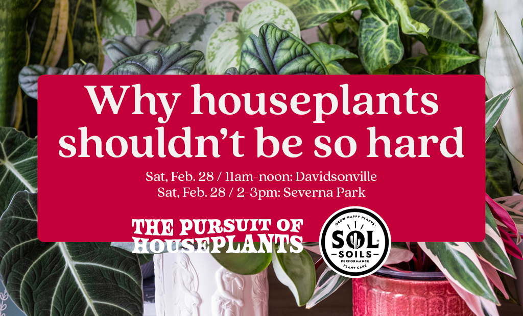 Why Houseplants Shouldn't Be So Hard