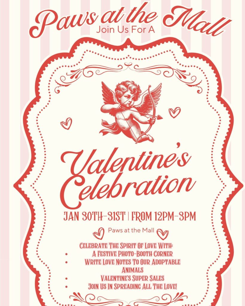 Valentine's Celebration @ Paws at the Mall