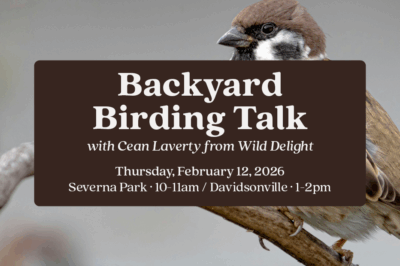 Backyard Birding Talk