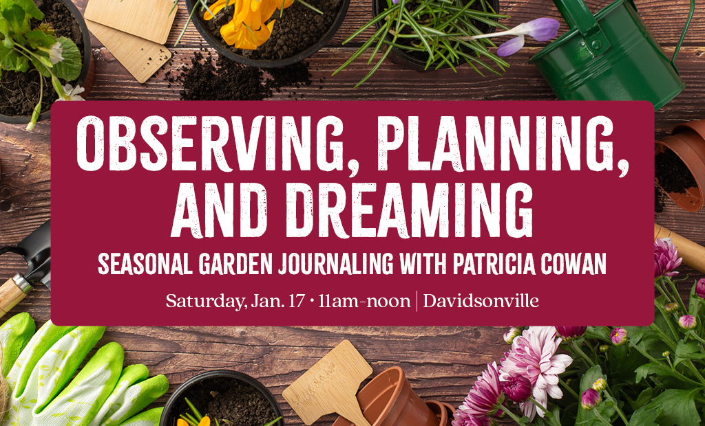 Observing, Planning, & Dreaming w/ Patricia Cowan