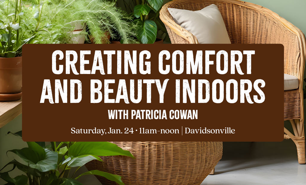 Winter Warmers w/ Patricia Cowan