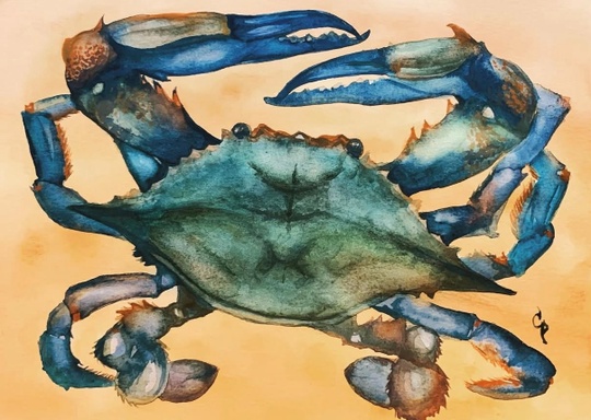 Watercolor for Beginners