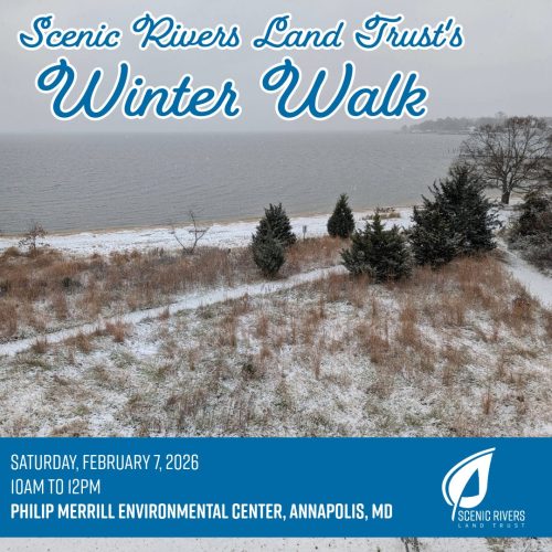 Scenic Rivers Winter Walk