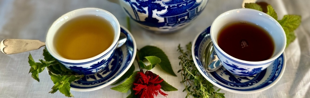 What's the Tea: How Tea is Made