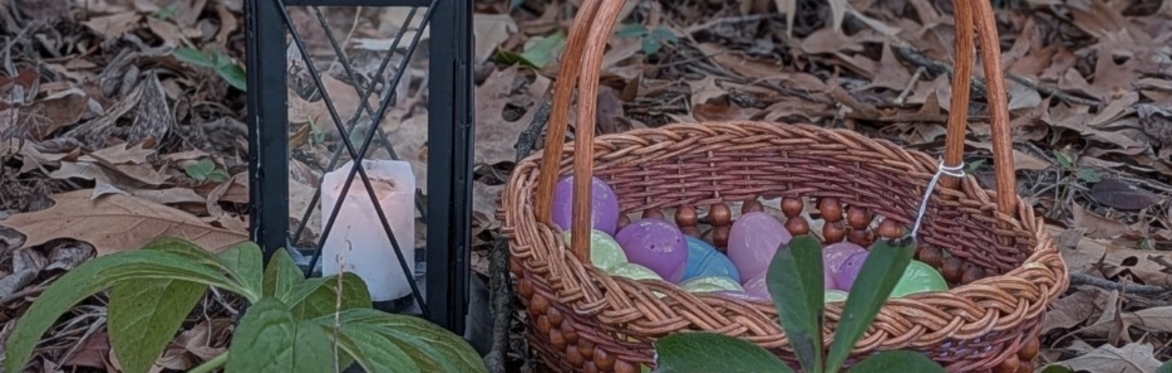 Gardens After Dark: Egg Hunt
