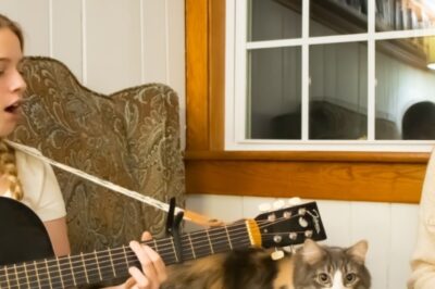 Cozy Concert feat. the Folk Villains