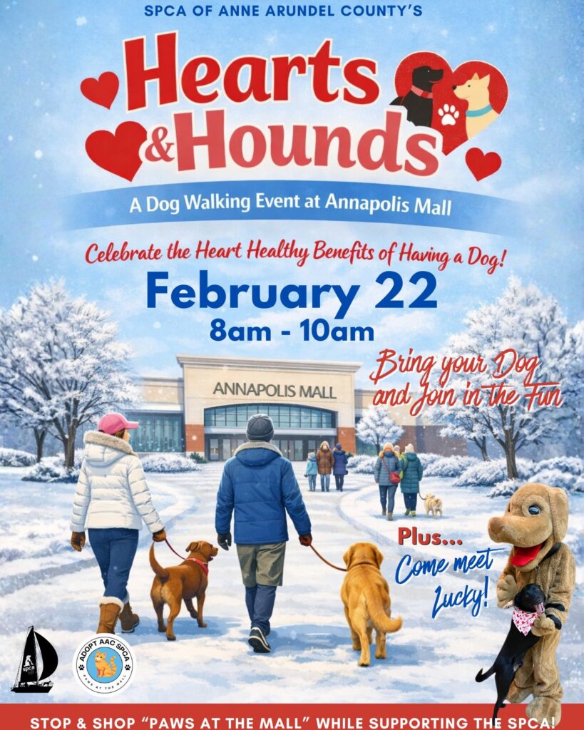 Hearts & Hounds