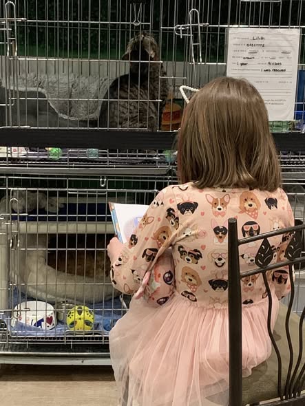 Bedtime Book Buddies