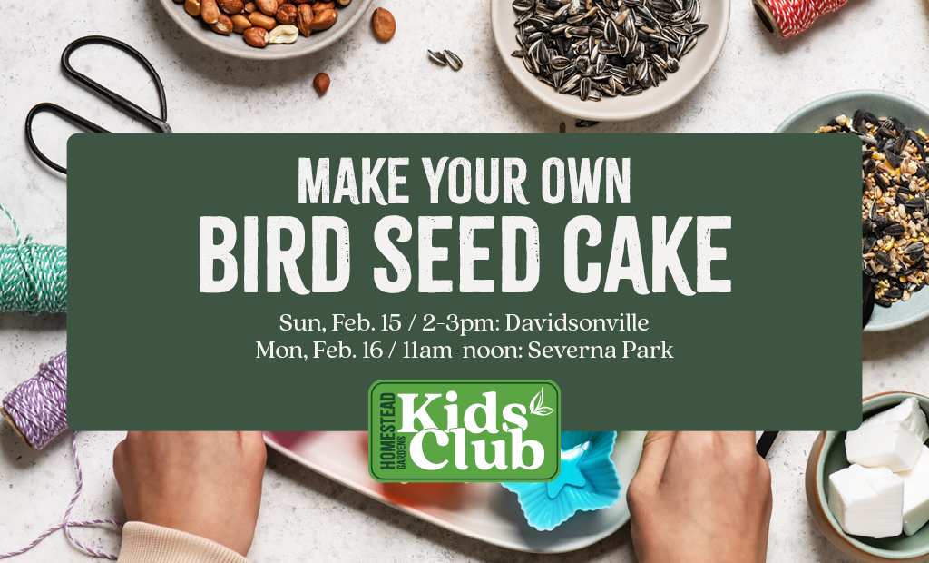 Make Your Own Bird Seed Cake