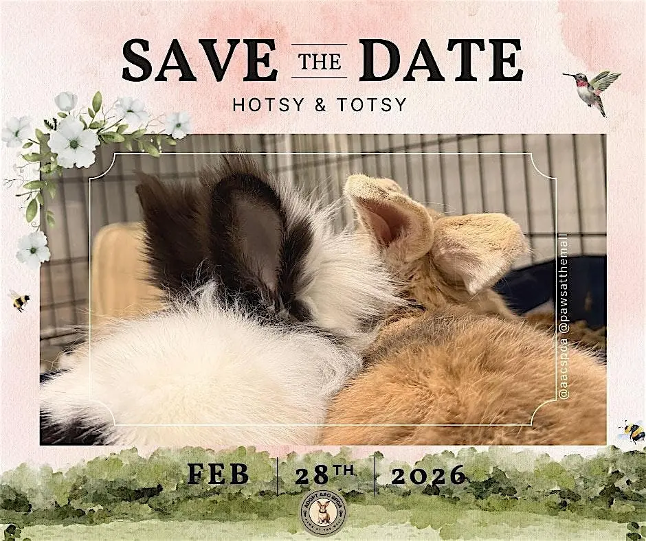 Holy Matribunny: Celebrate the Wedding of Hotsy & Totsy