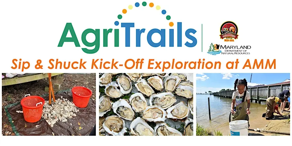 Sip & Shuck Kick-Off