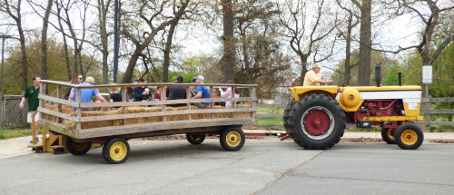 Hayrides @ Kinder Farm Park