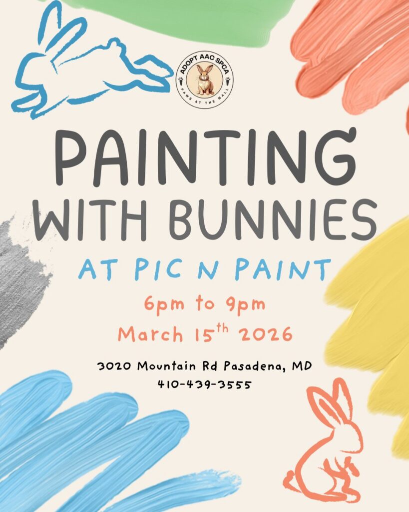 Painting with Bunnies