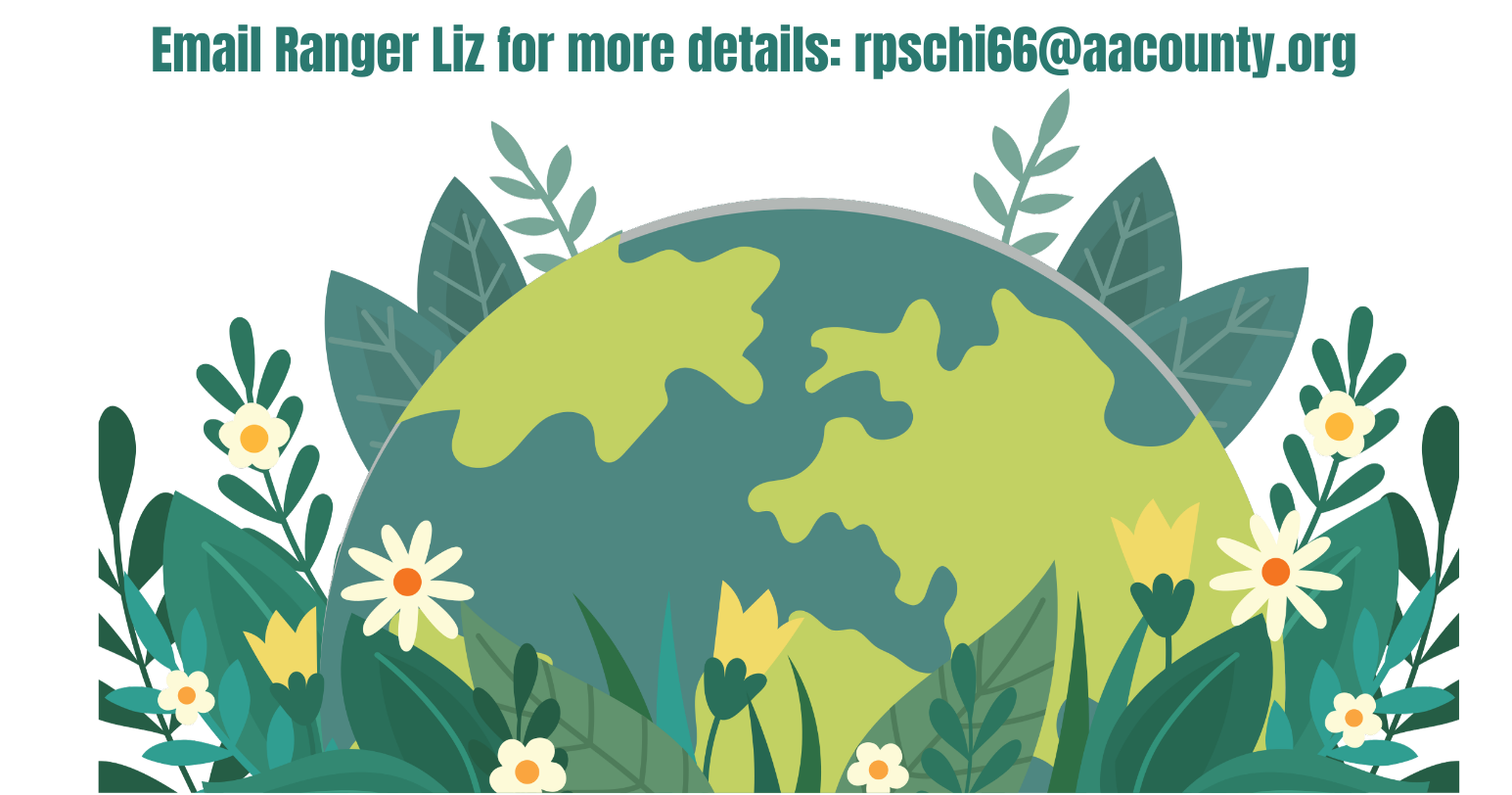 Earth Day @ Quiet Waters Park