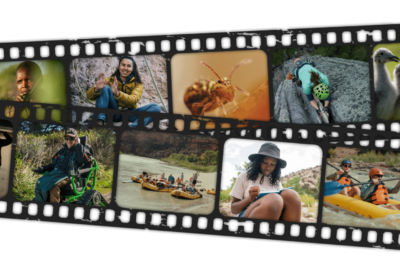 Wild & Scenic Film Festival