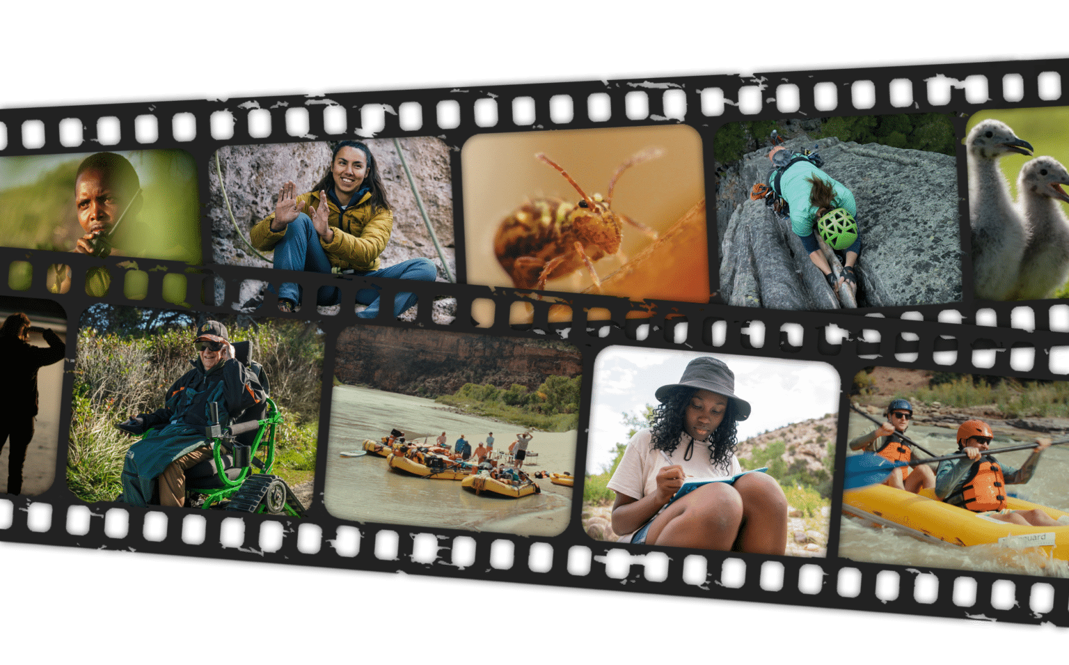 Wild & Scenic Film Festival