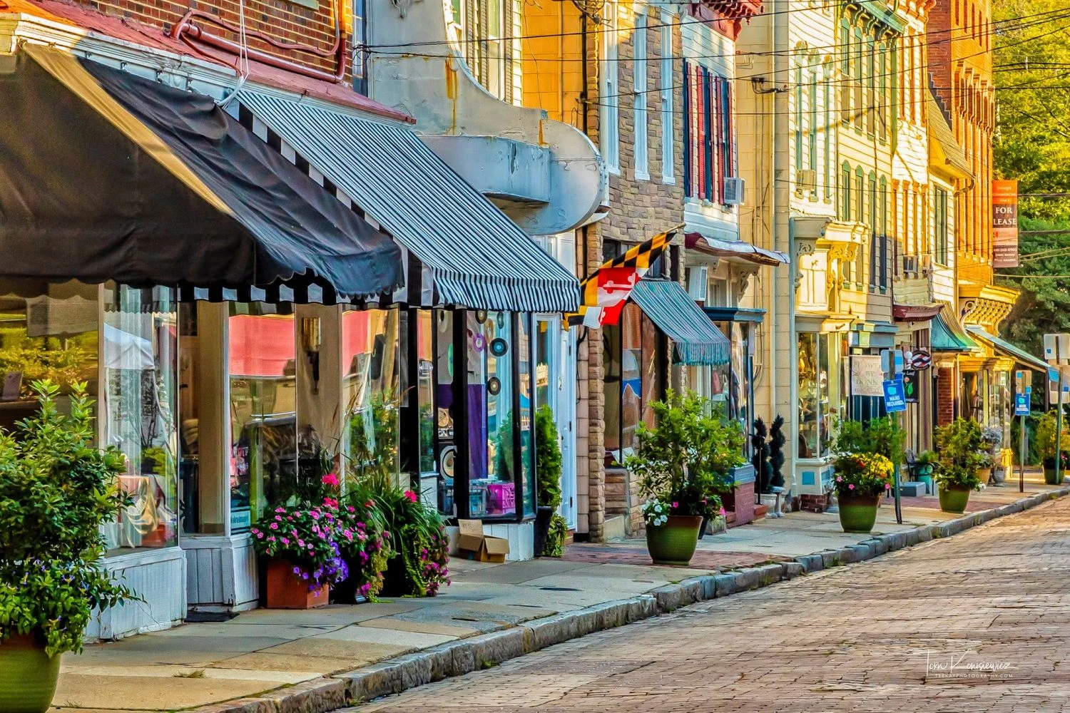 Mansions and Merchants Tour