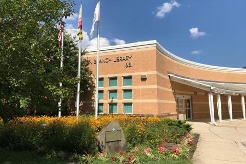 African American Women Who Rewrote America's Possibilities